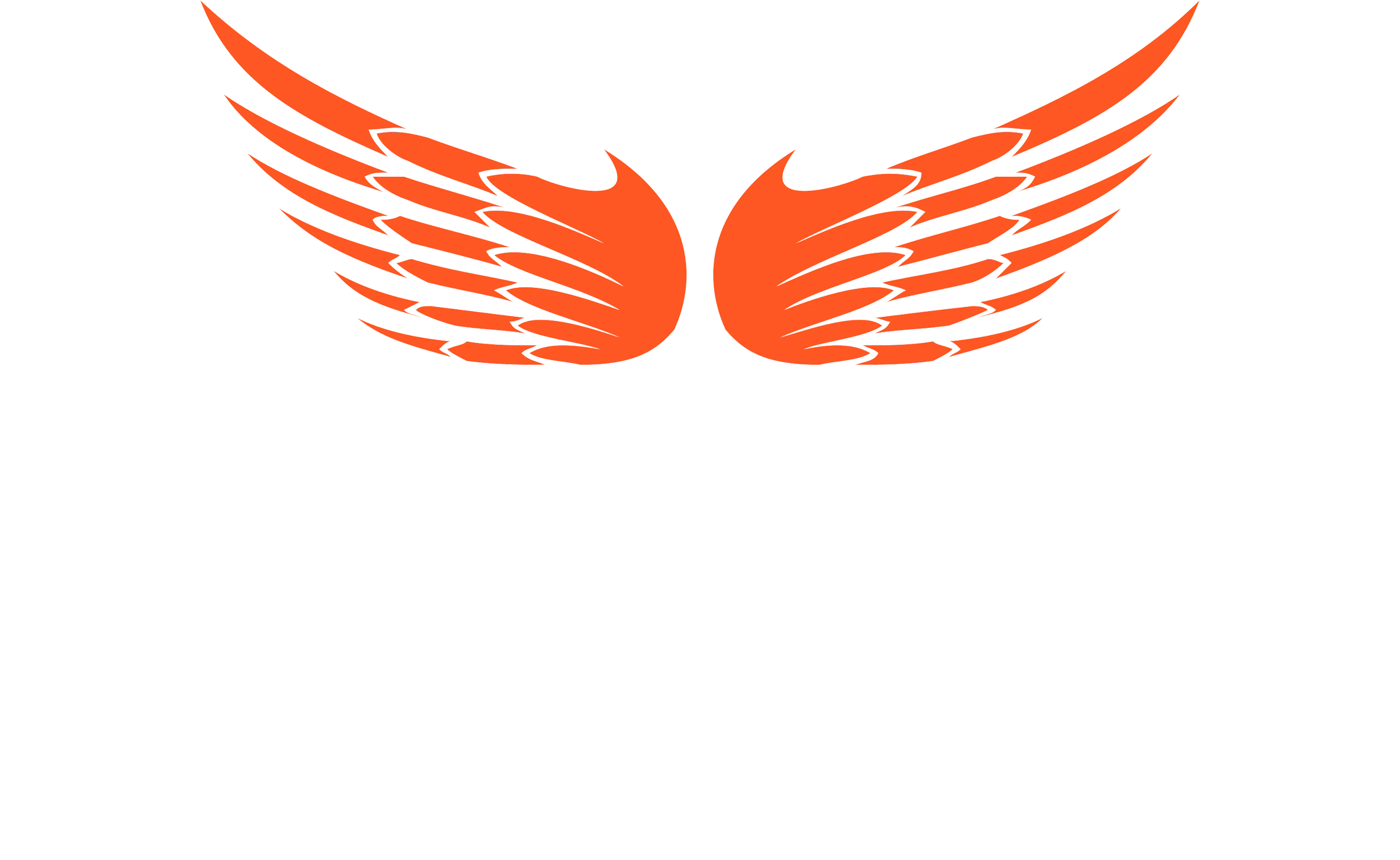 SkylightSafety.Net